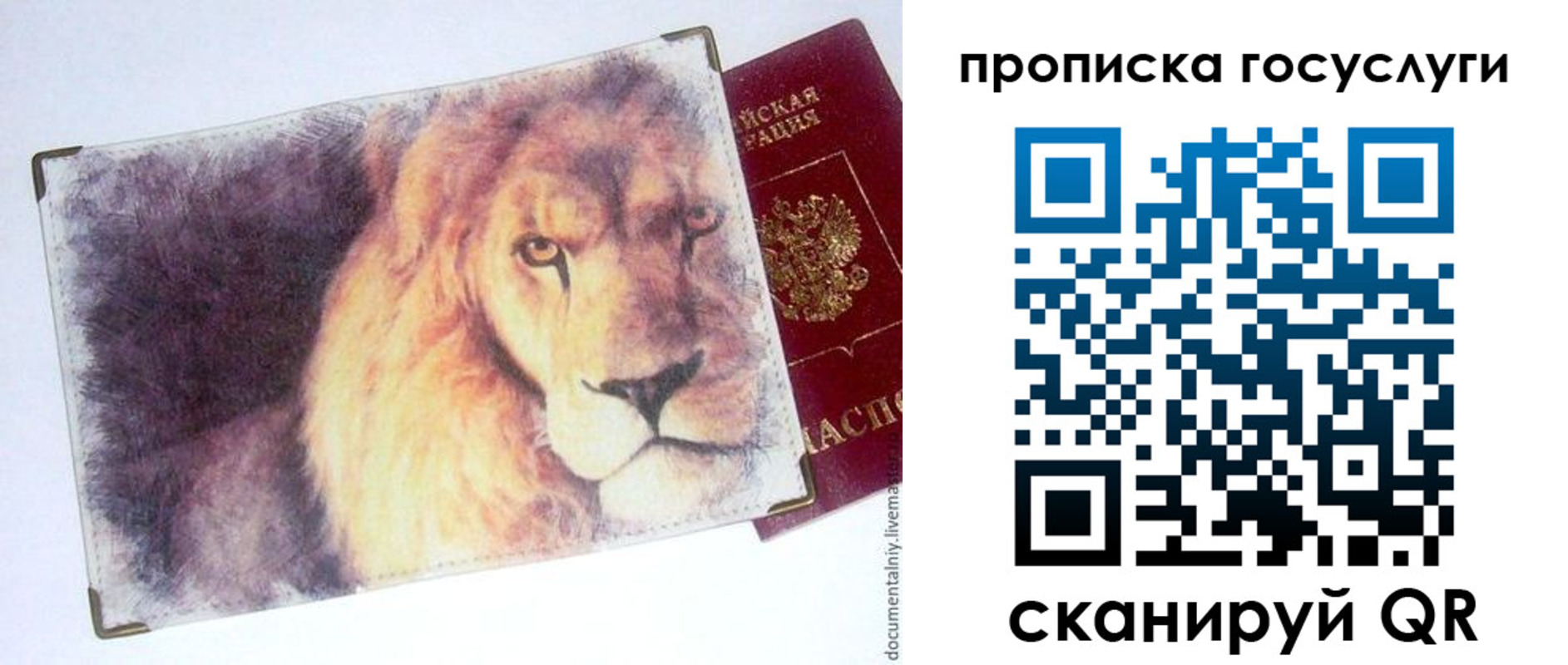 временная регистрация для всех в Калмыкии